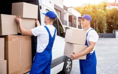 Moving Made Simple: Why Professional Perth Removalists Are Essential
